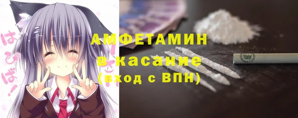 ПСИЛОЦИБИНОВЫЕ ГРИБЫ Горняк