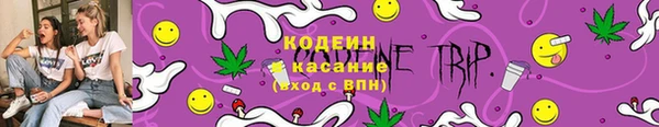 бошки Тында
