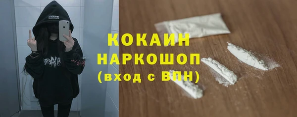 ПСИЛОЦИБИНОВЫЕ ГРИБЫ Горняк