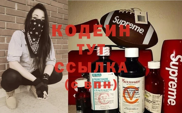 ПСИЛОЦИБИНОВЫЕ ГРИБЫ Горняк