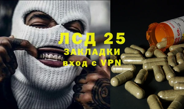 ПСИЛОЦИБИНОВЫЕ ГРИБЫ Горняк
