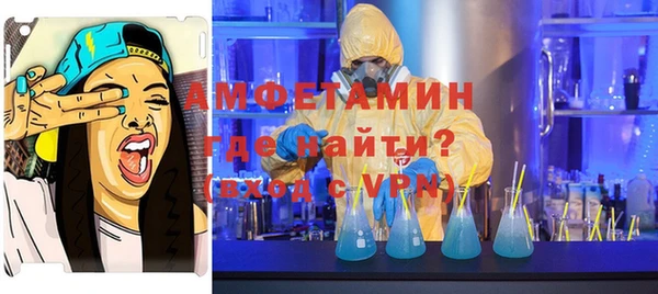 ПСИЛОЦИБИНОВЫЕ ГРИБЫ Горняк