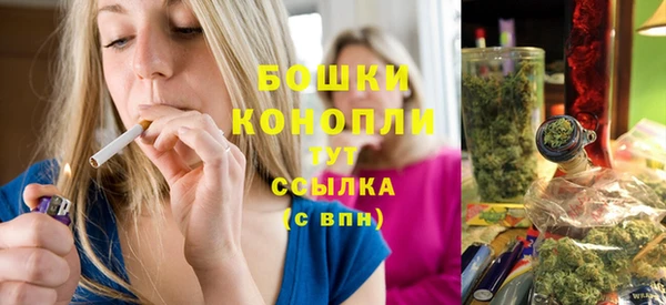 ПСИЛОЦИБИНОВЫЕ ГРИБЫ Горняк