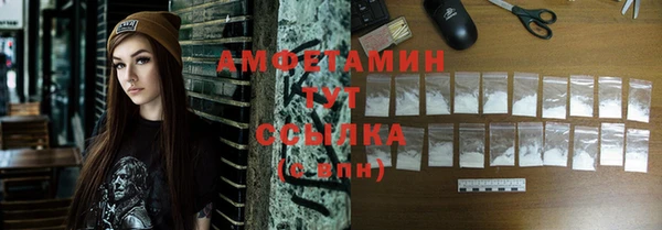 ПСИЛОЦИБИНОВЫЕ ГРИБЫ Горняк