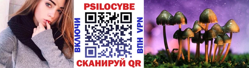 хочу наркоту  Дегтярск  Галлюциногенные грибы Psilocybe 